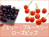 �`�F���[�E�u���[�x���[�E���[�Y�q�b�v