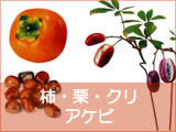 �`�E�I�E�N���E�A�P�r