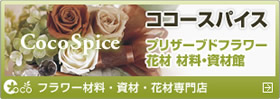 �v���U�[�u�h�t�����[�E�ԍށE�ޗ��E���ފق̃R�R�[�X�p�C�X