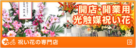 �J�X�E�J�Ɨp ���G�}�j���� ���ԃA�����W